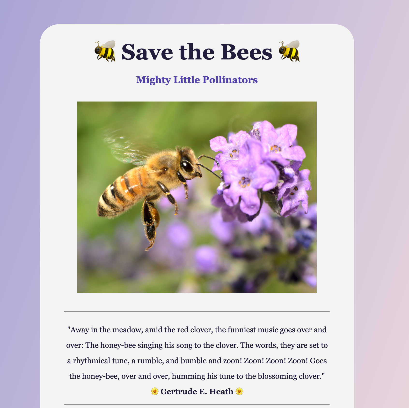 Photo of Bee Page